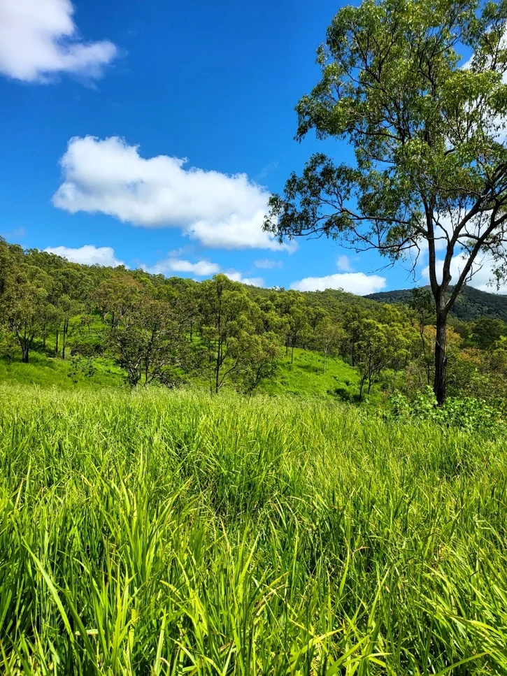 Oakenden QLD 4741 photo 4