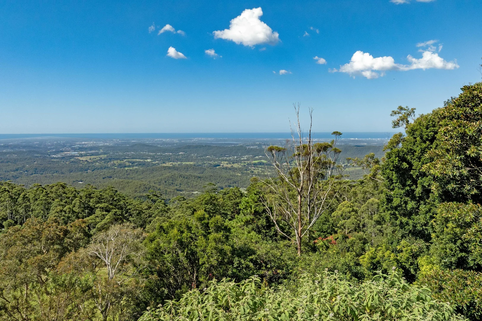 Additional image 10 of 4-6 Coomera Gorge Drive, Tamborine Mountain QLD 4272