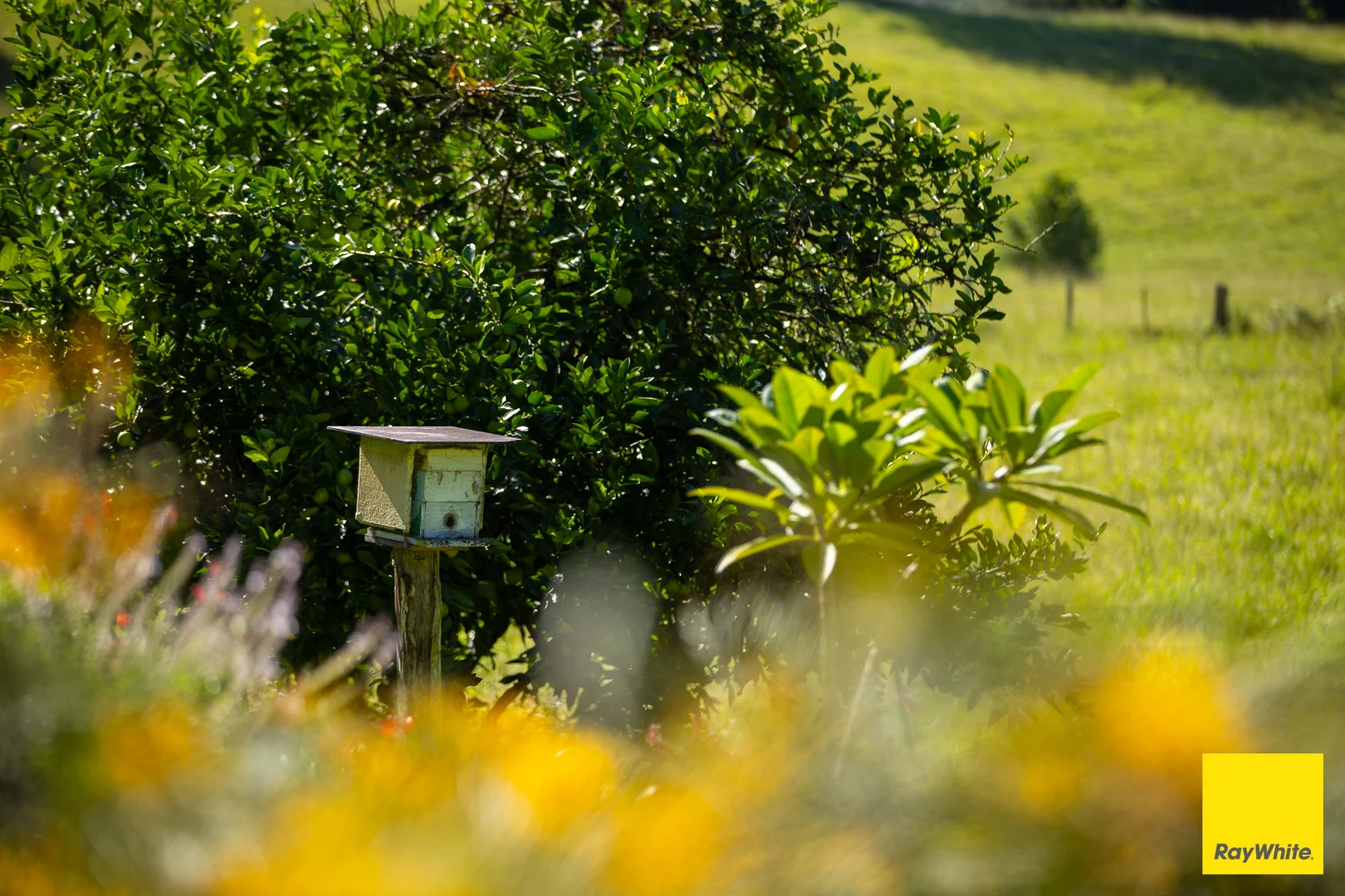 Additional image 25 of 'Sunrise' Darkwood Road, Bellingen NSW 2454