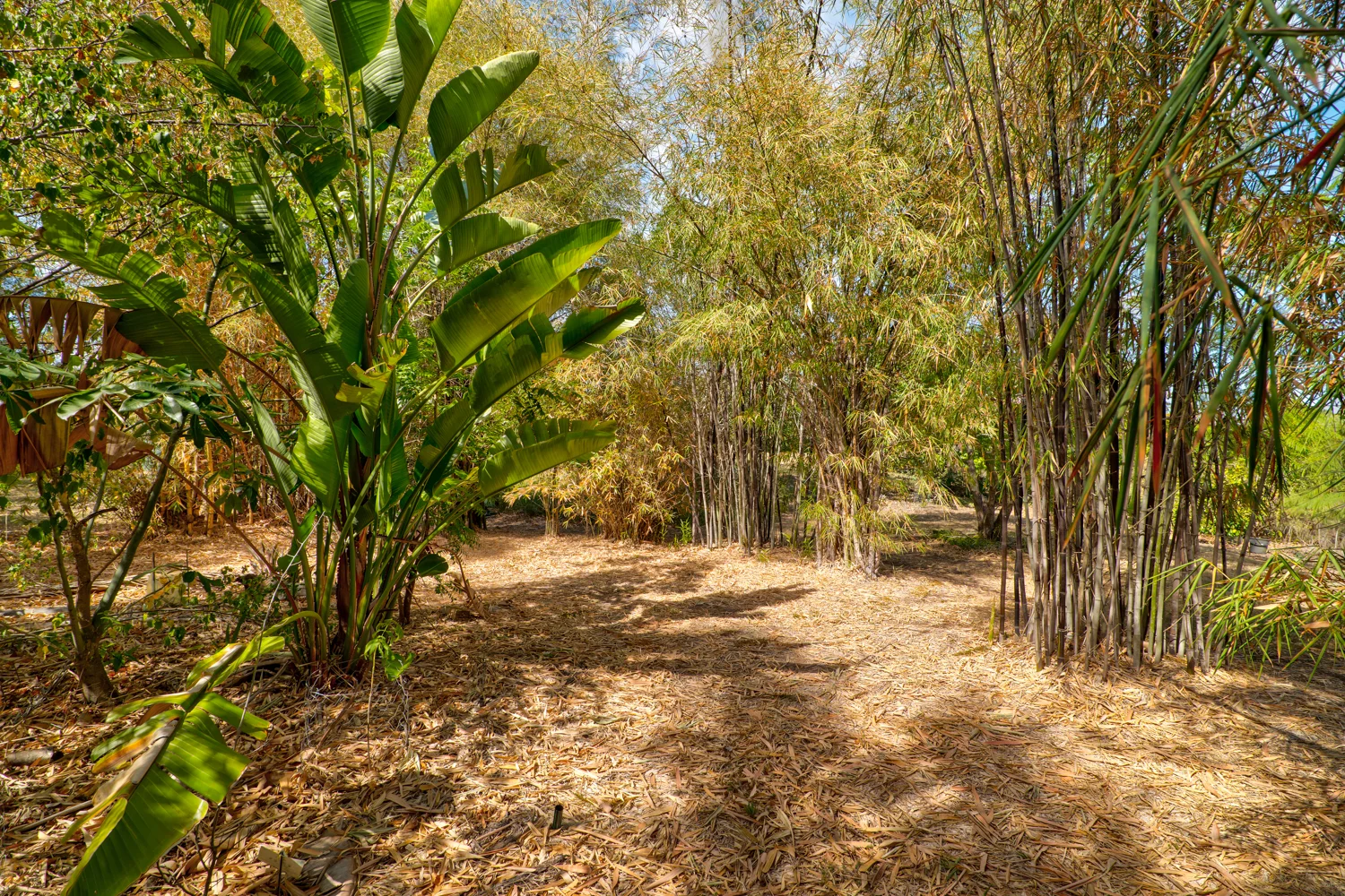 Additional image 6 of 53 West View Cresent, Prenzlau QLD 4311