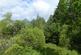 Additional image 5 of Balwil Wood, Buchlyvie, Stirlingshire FK8