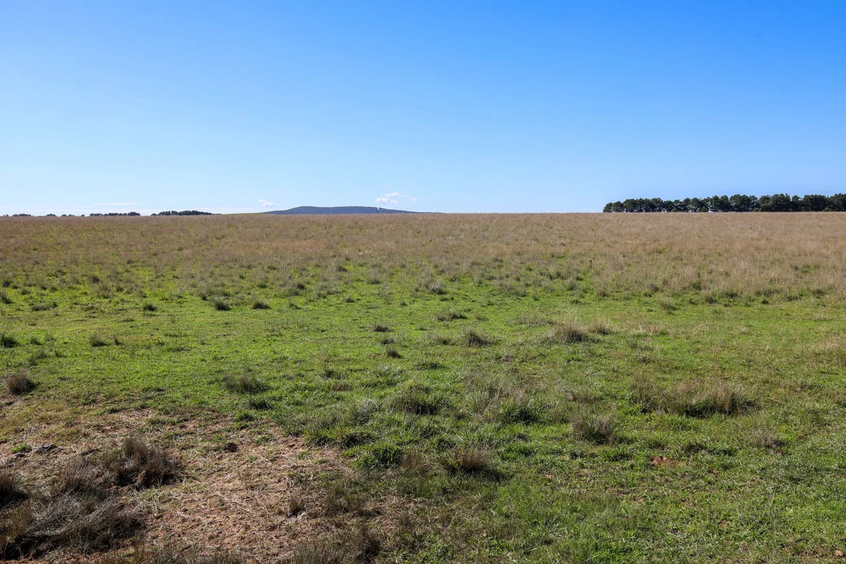 Additional image 10 of 1790 Braidwood Road, Tarago NSW 2580