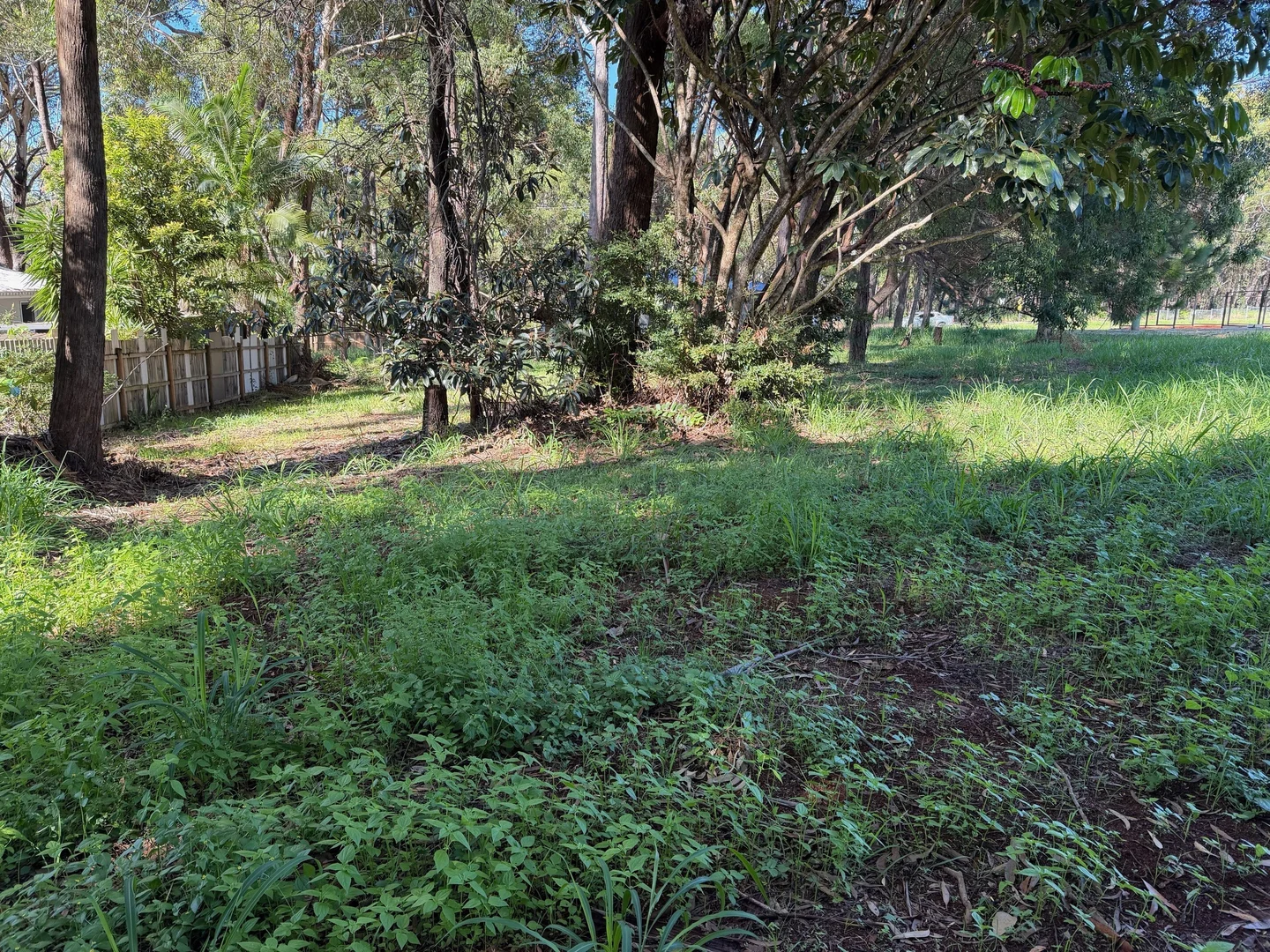 Additional image 8 of 9 Oak Street, Russell Island QLD 4184
