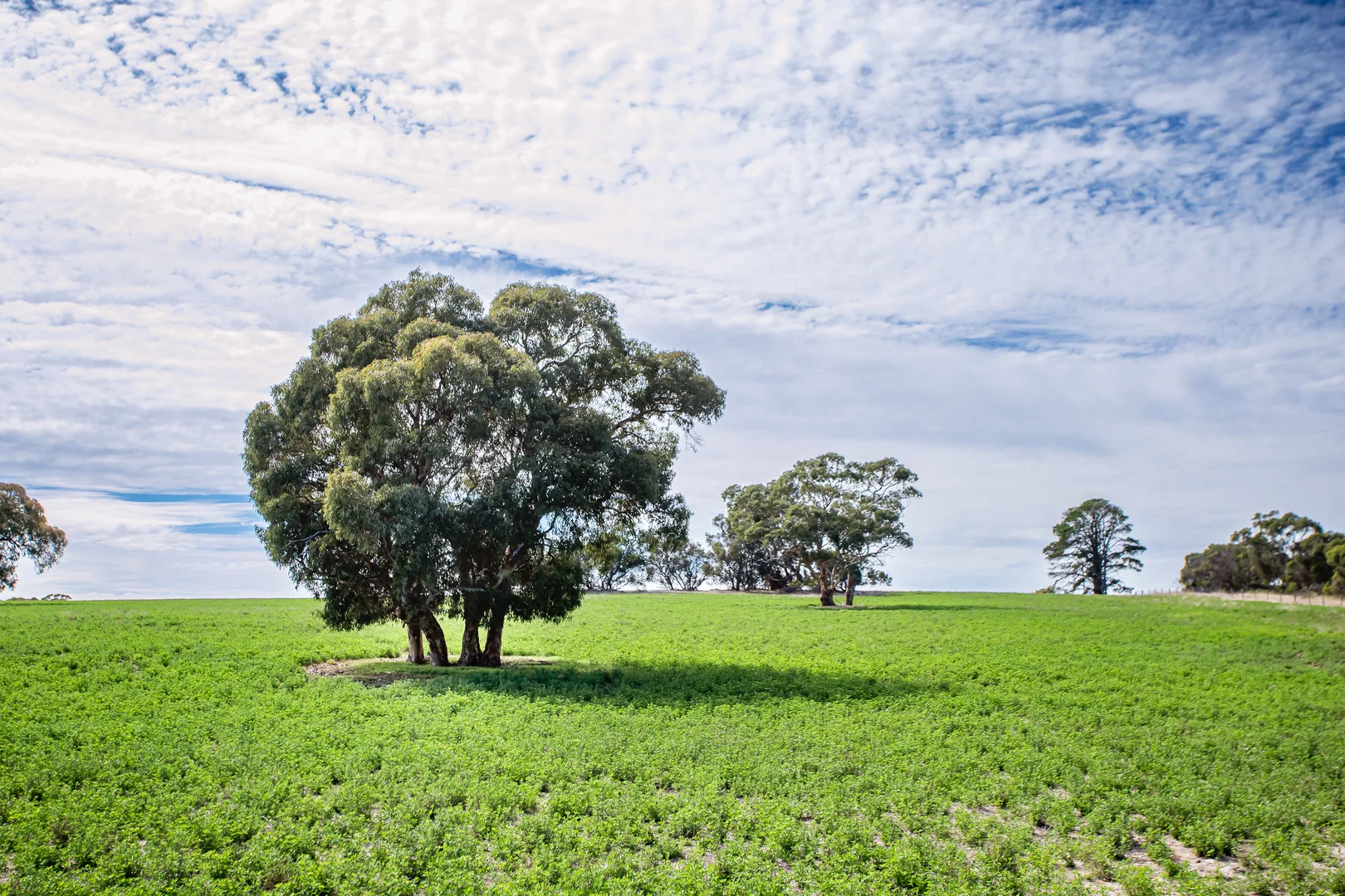Additional image 7 of 1089 Pedericks Road, Lochaber SA 5271