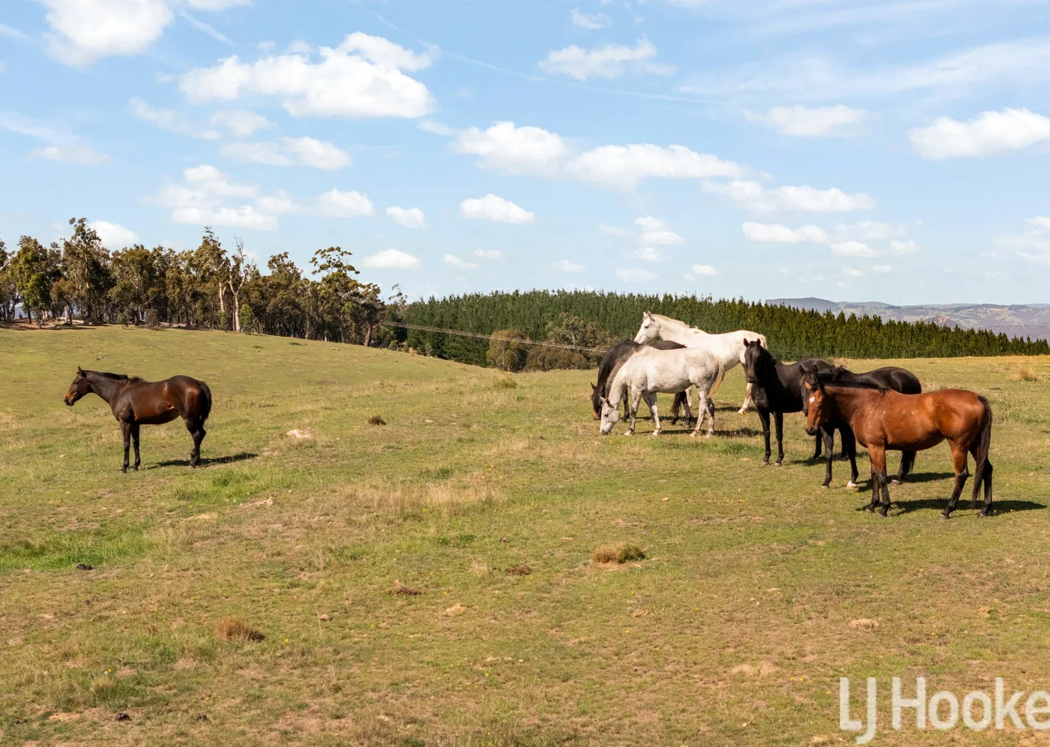 Additional image 8 of Meadow Flat NSW 2795