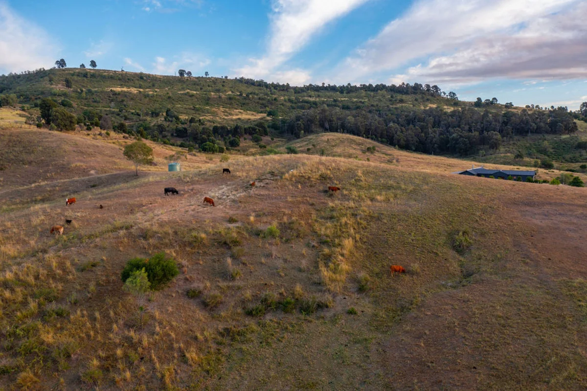 Additional image 38 of 18 Jims Road, Blenheim QLD 4341