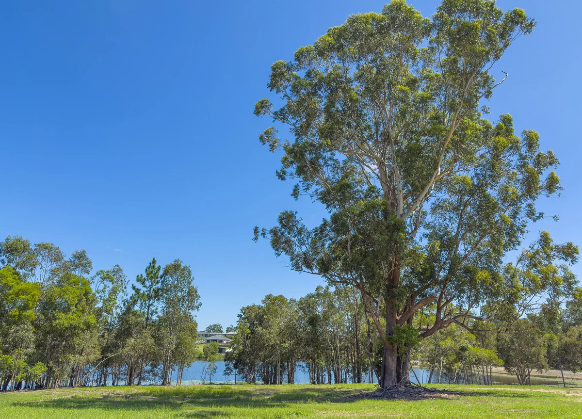 Additional image 6 of D'Aguilar QLD 4514