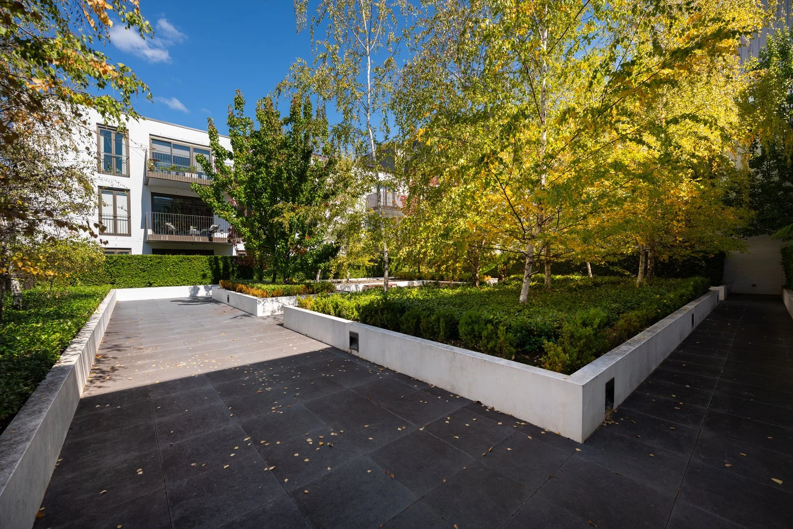 Additional image 25 of 19/1 Kerridge Street, Kingston ACT 2604