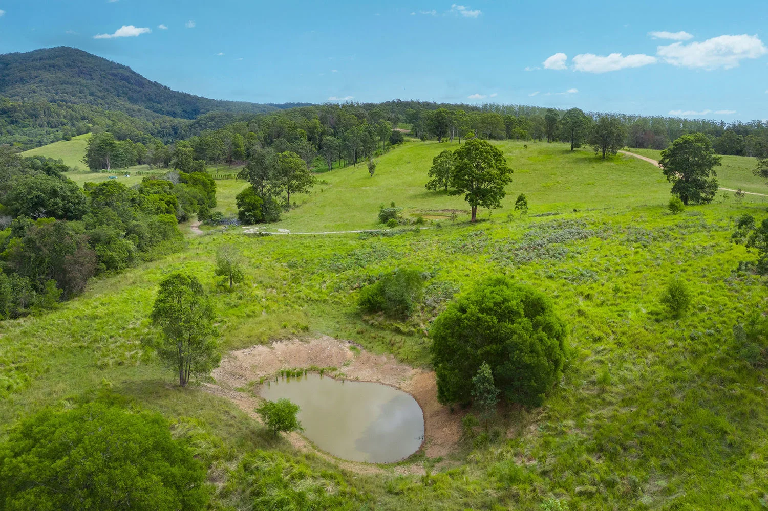 Additional image 4 of Lot 120/1085 Rollands Plains Road, Ballengarra NSW 2441