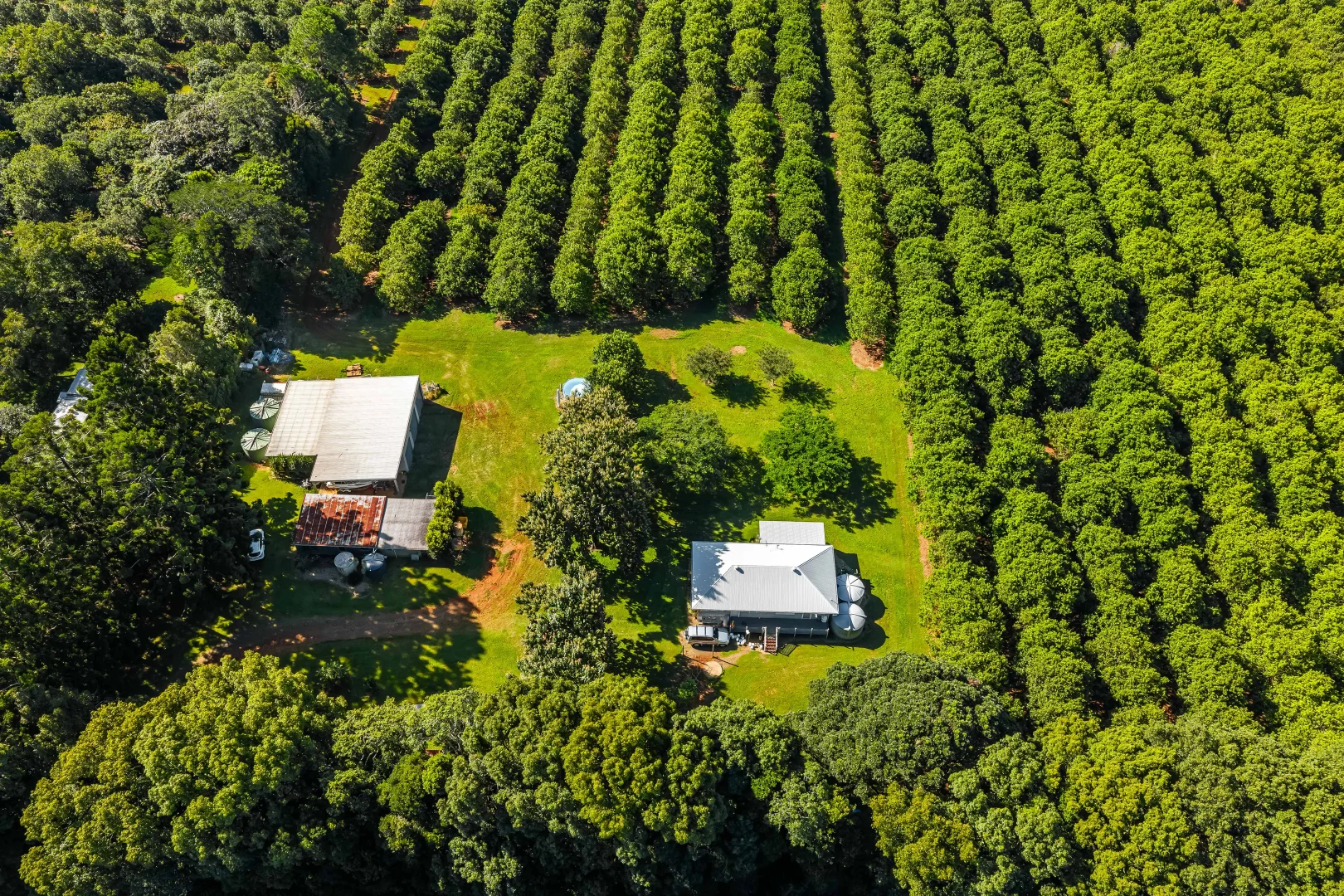 Additional image 2 of 250 Dalwood Road, Dalwood NSW 2477
