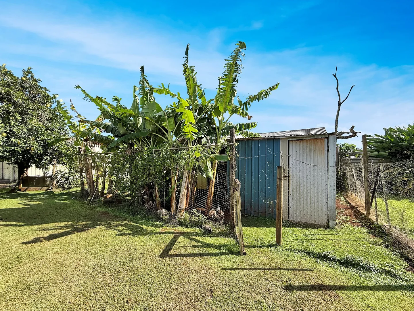 Additional image 14 of 24 HALLORAN STREET, Tolga QLD 4882