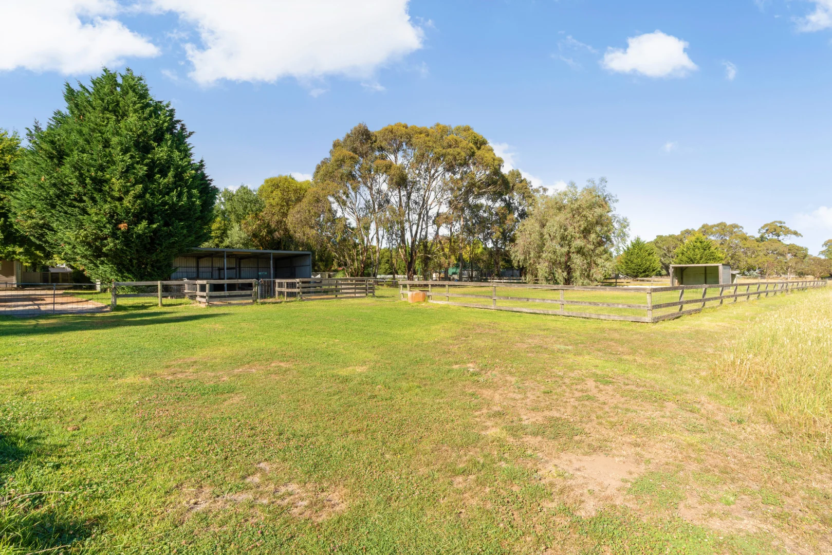 Additional image 6 of 25 Mawson Road, Meadows SA 5201