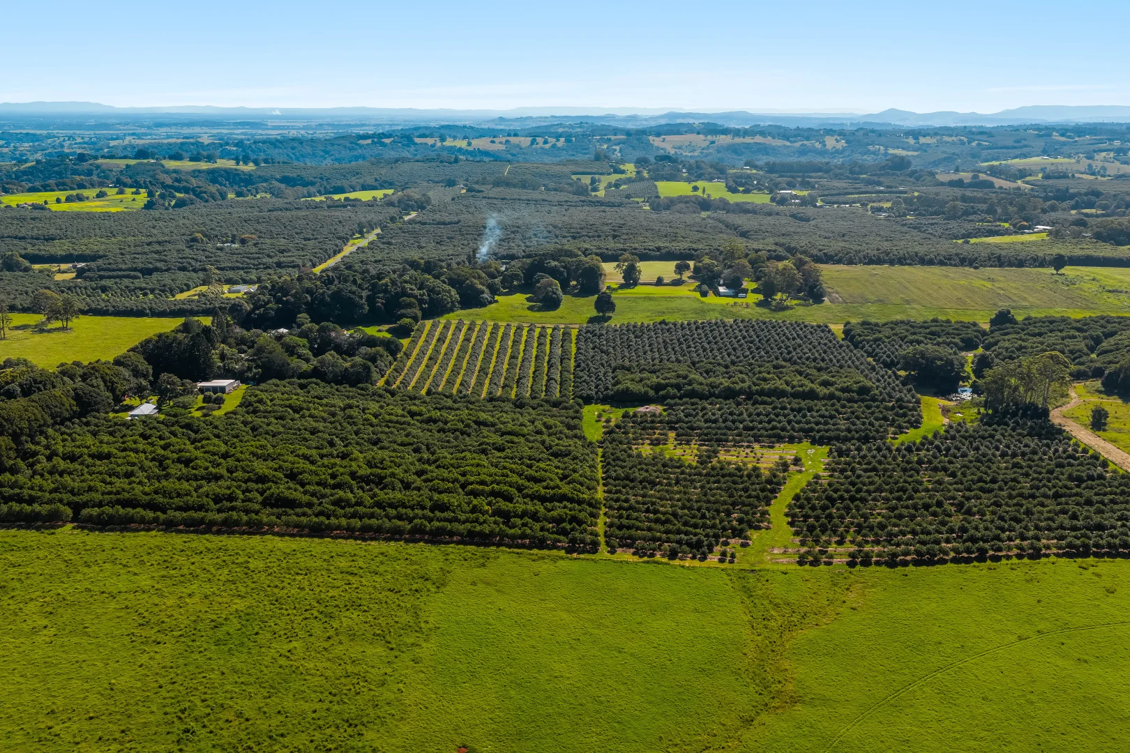 Additional image 15 of 250 Dalwood Road, Dalwood NSW 2477