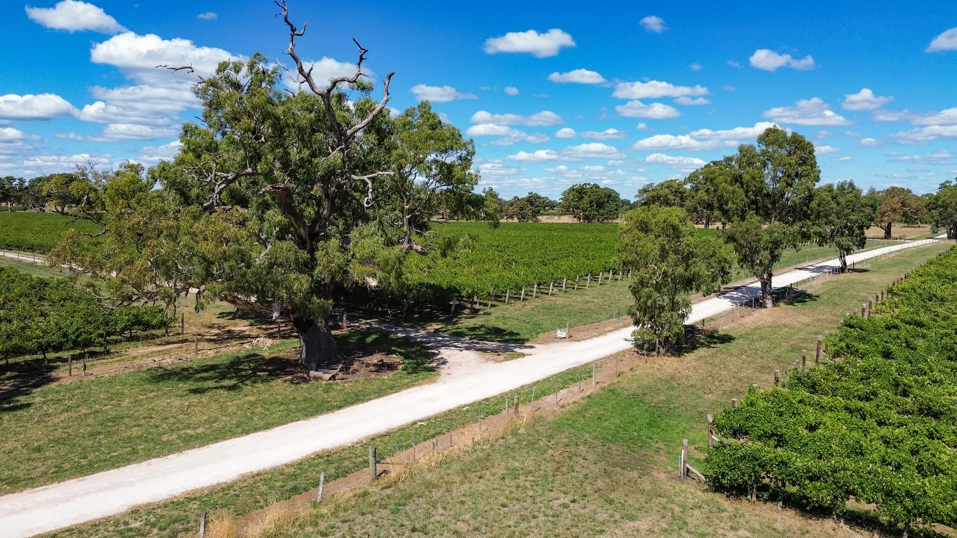 Additional image 13 of V&A Lane, Coonawarra SA 5263