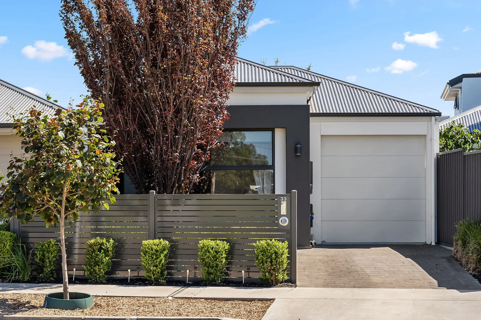 33 Denham Avenue, Morphettville SA 5043