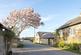 Additional image 19 of Hoe Lane, Flansham