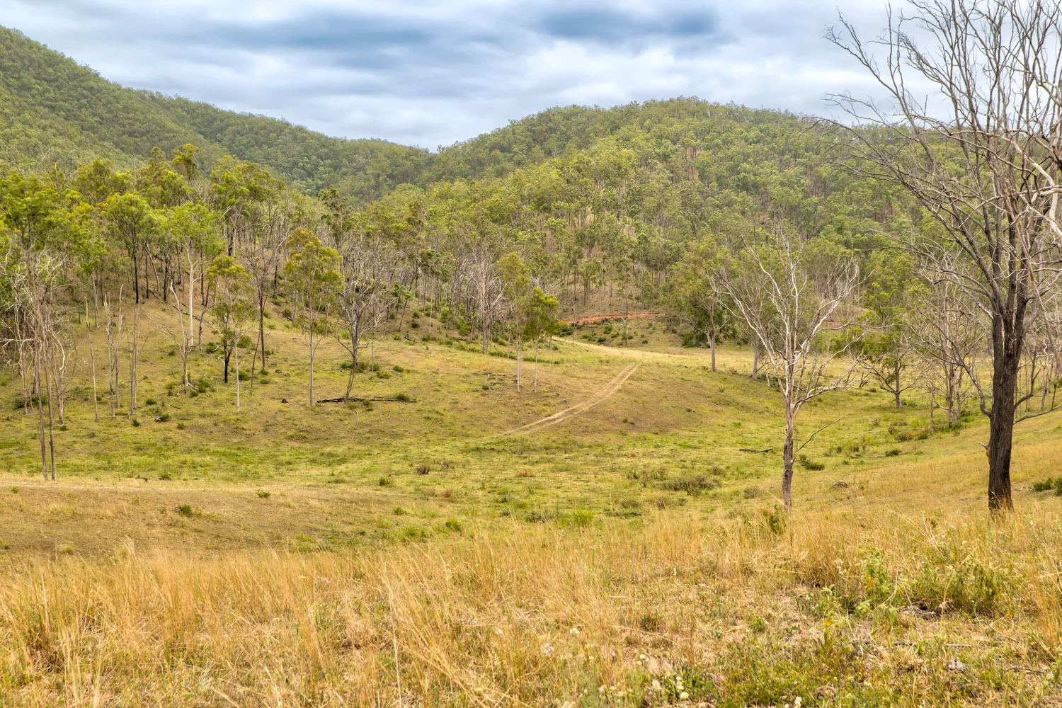 Additional image 3 of 1706 ESK CROWS NEST RD, Biarra QLD 4313
