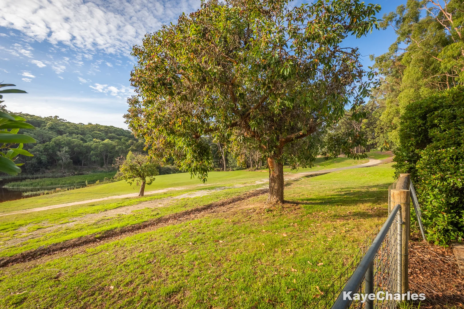 Additional image 28 of 101 Stoney Creek Road, Beaconsfield Upper VIC 3808