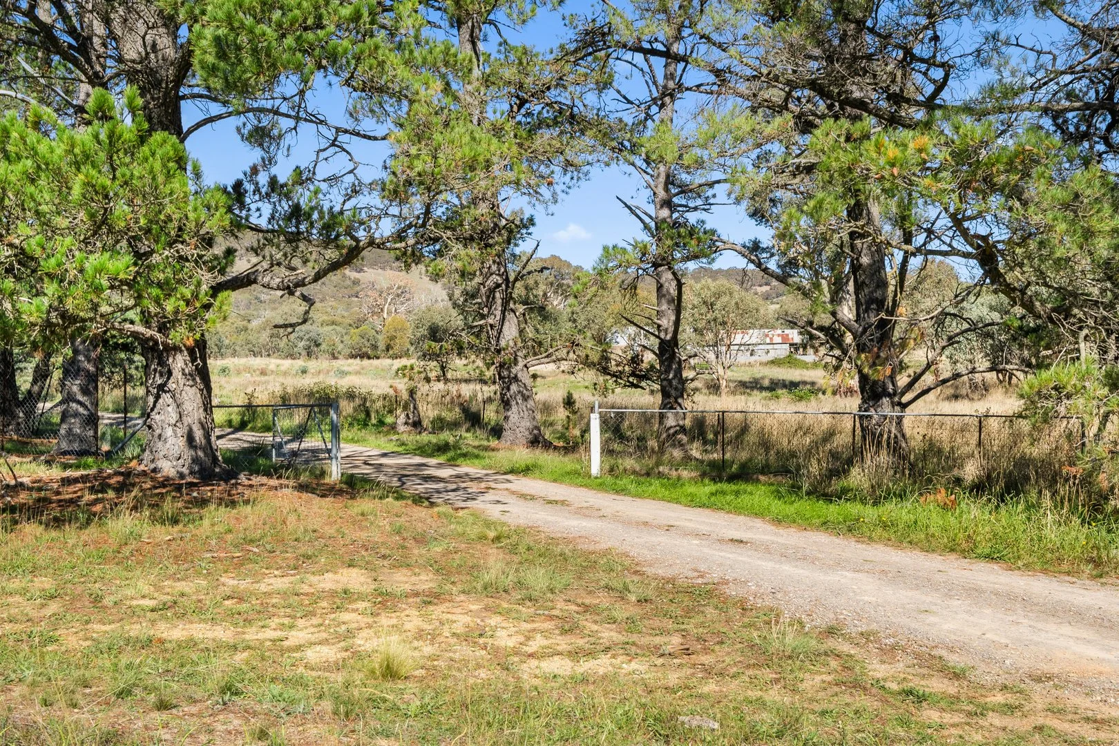 267 Spring Range Road, Springrange NSW 2618 photo 3