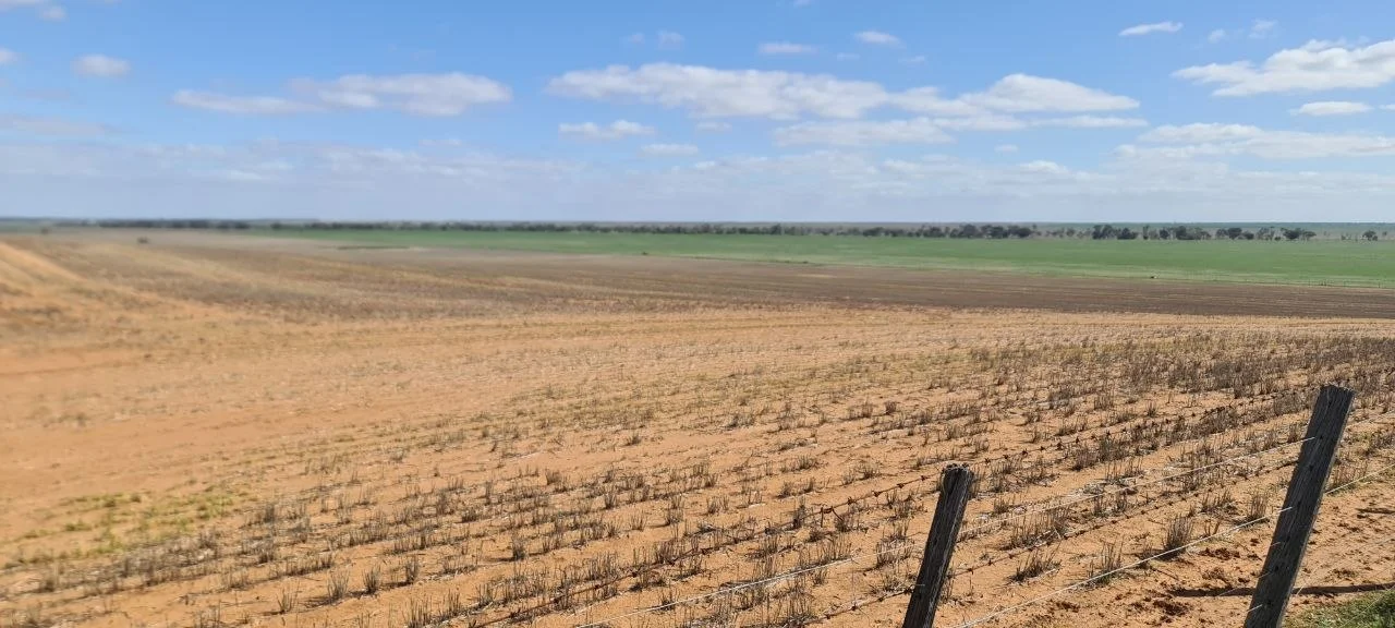Additional image 4 of 'Grogans' Banyenong-Jeffcott Road, Jeffcott North VIC 3480