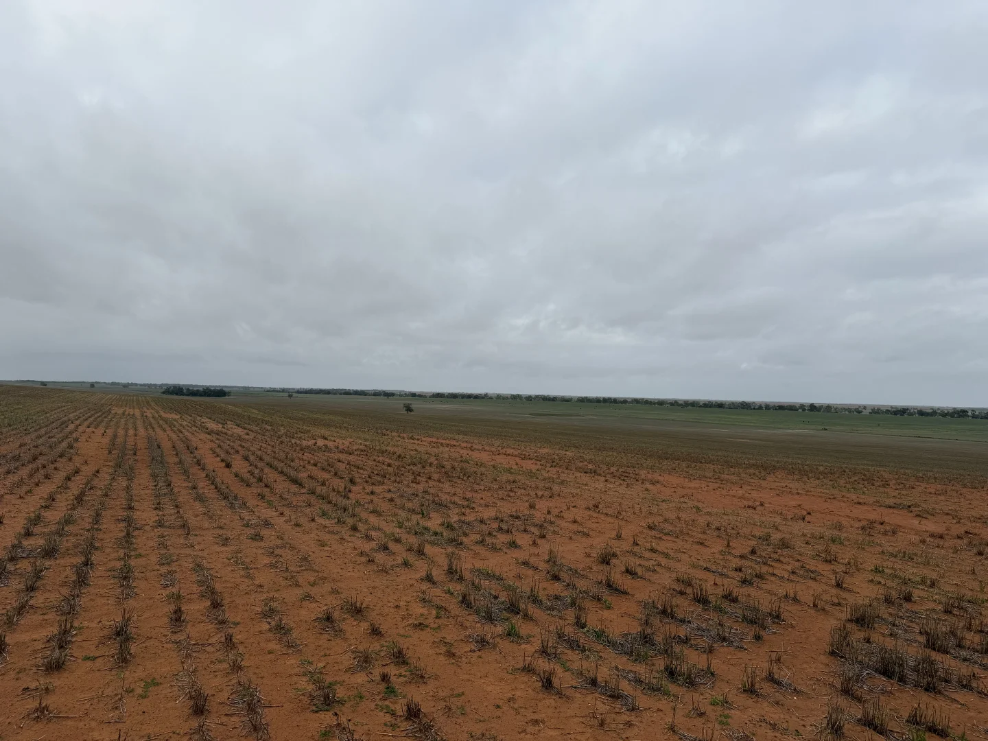 Additional image 11 of 'Grogans' Banyenong-Jeffcott Road, Jeffcott North VIC 3480