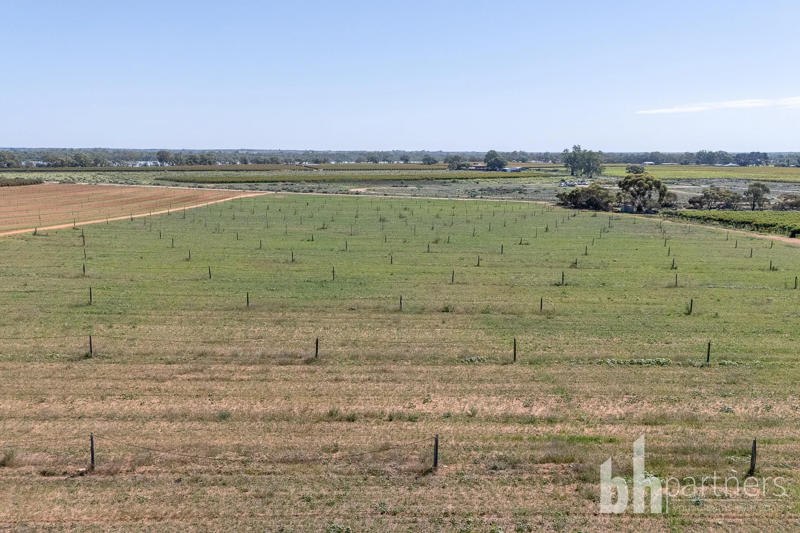 Additional image 13 of 121 Elephant Trunk Road, Barmera SA 5345