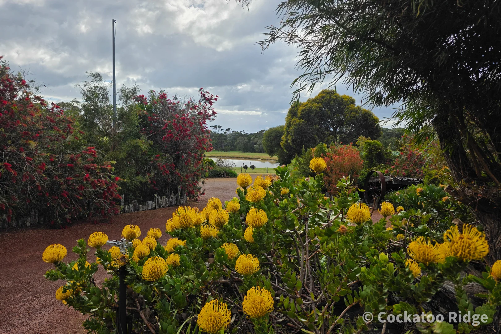 Additional image 45 of 96 Rudgyard Place, Hay WA 6333