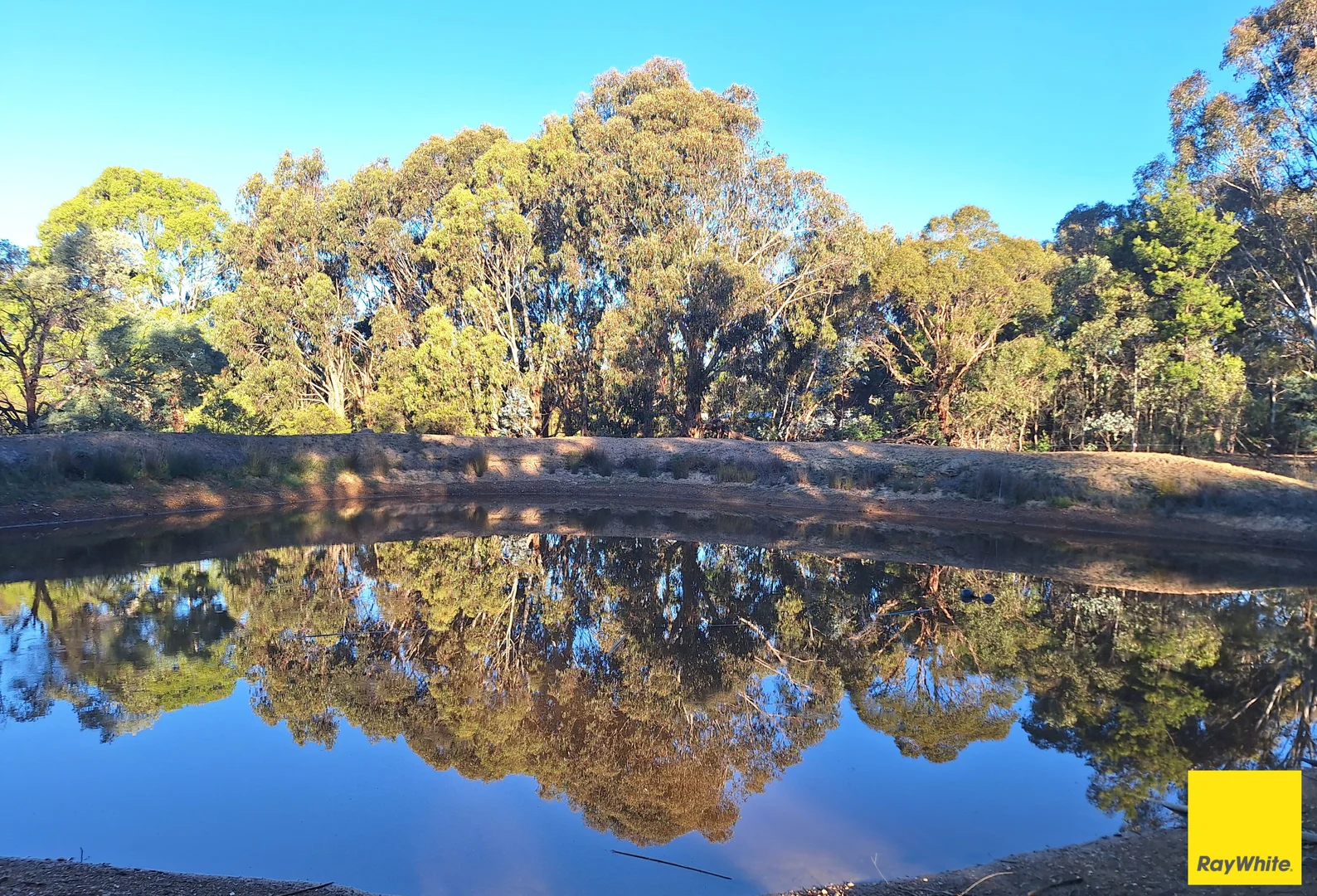 Additional image 24 of 99 Harriott Road, Bywong NSW 2621