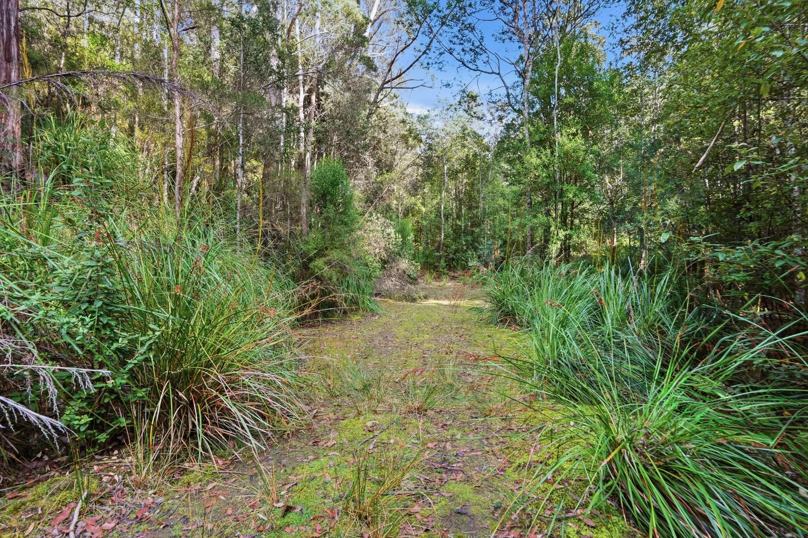 Additional image 2 of 111 Underwoods Road, Nicholls Rivulet TAS 7112