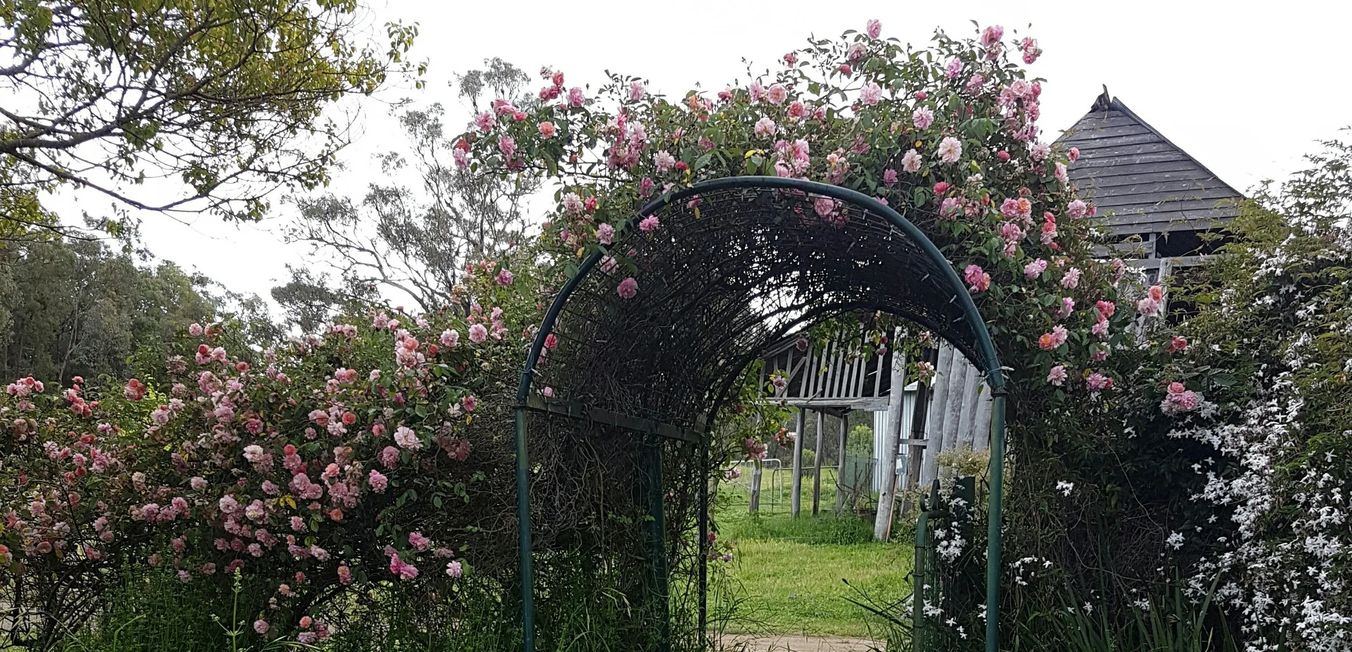 Additional image 4 of 6918 Warrumbungles Way, Coonabarabran NSW 2357
