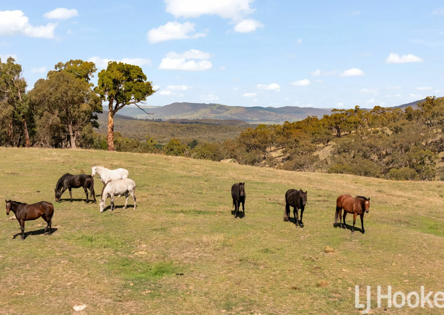 Additional image 6 of Meadow Flat NSW 2795