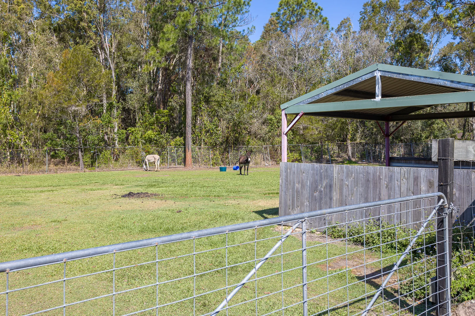 Additional image 23 of 34-44 Cammack Street, Burpengary East QLD 4505