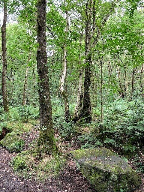Additional image 5 of Goit Stock Wood, Harden, Bingley, West Yorkshire, BD16