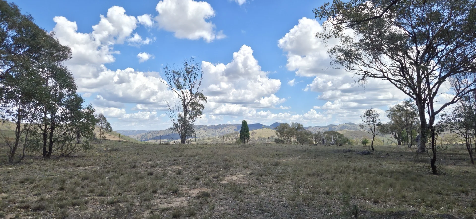 74 Honners Road, Mudgee NSW 2850