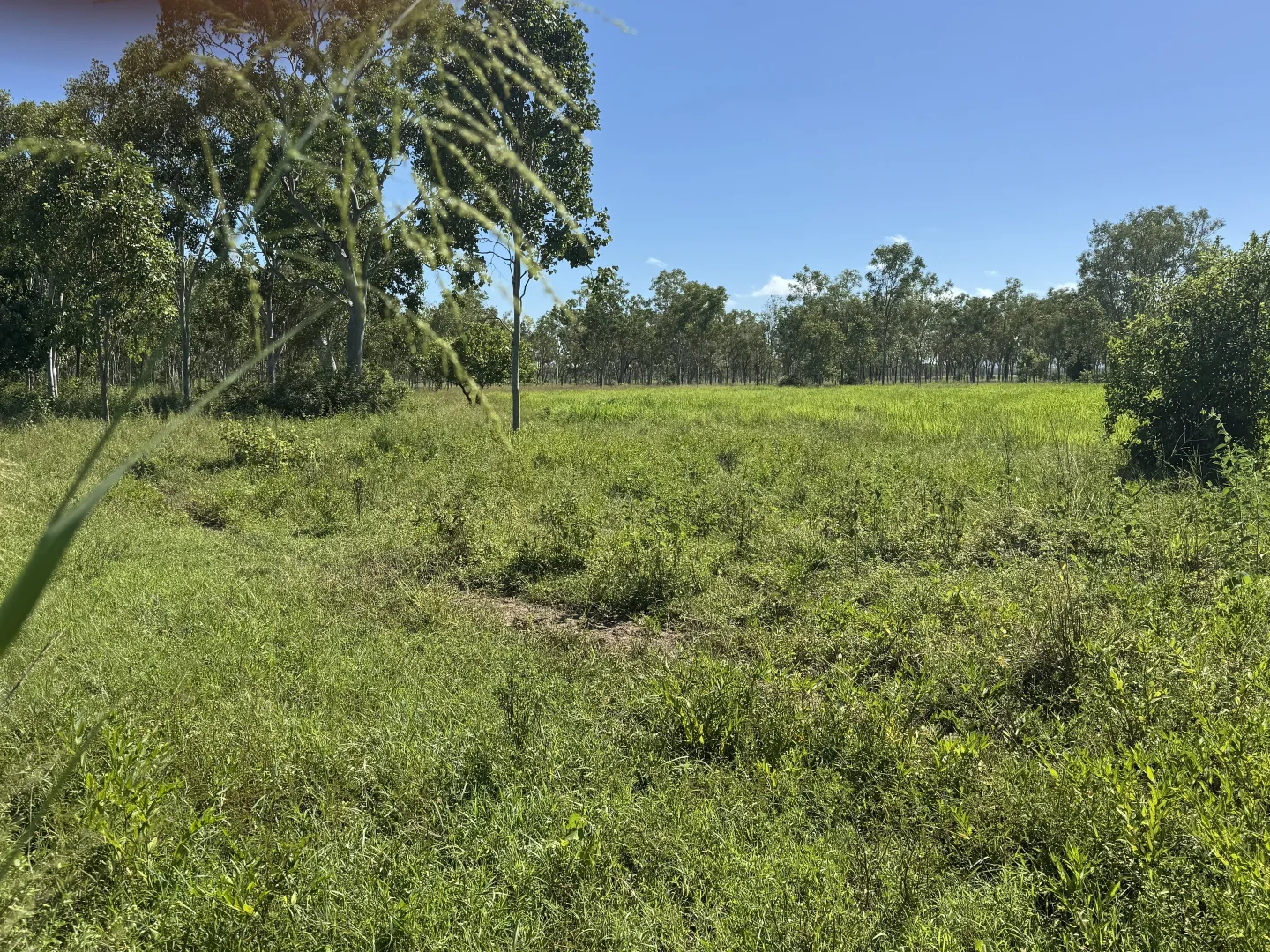 Additional image 12 of 618 Weaver Road, Swans Lagoon QLD 4807