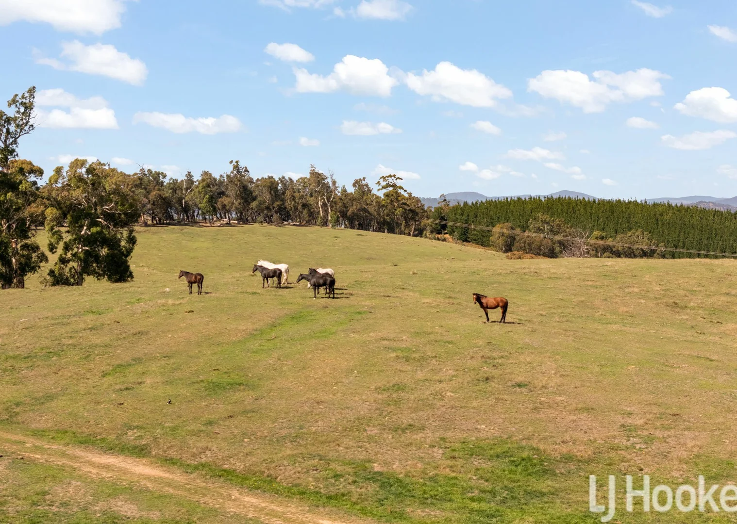 Additional image 9 of Meadow Flat NSW 2795