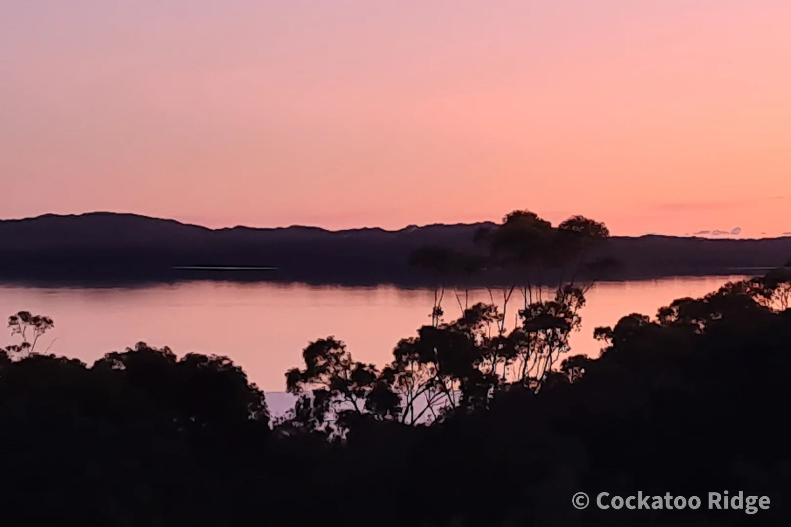 Additional image 5 of 96 Rudgyard Place, Hay WA 6333