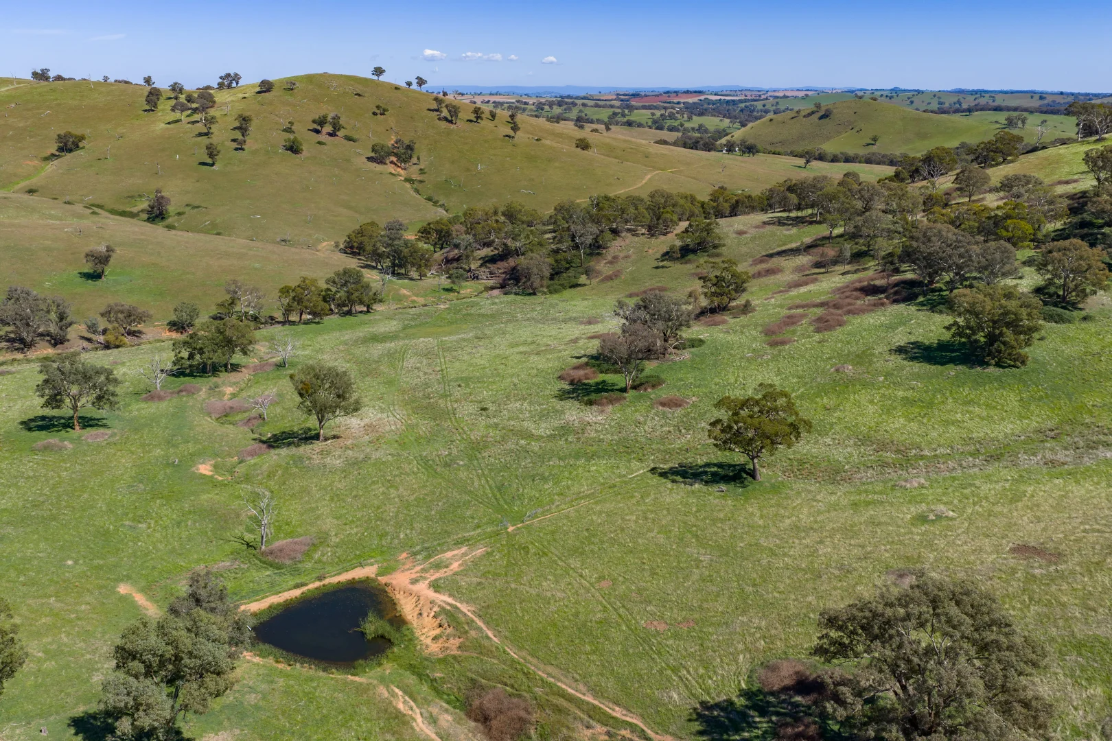 Additional image 22 of 7479 Mid Western Highway, Lyndhurst NSW 2797