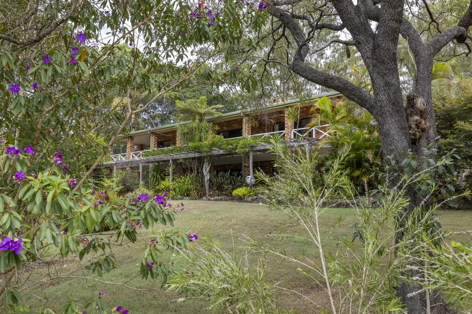 Additional image 28 of 2324 Armidale Road, Blaxlands Creek NSW 2460