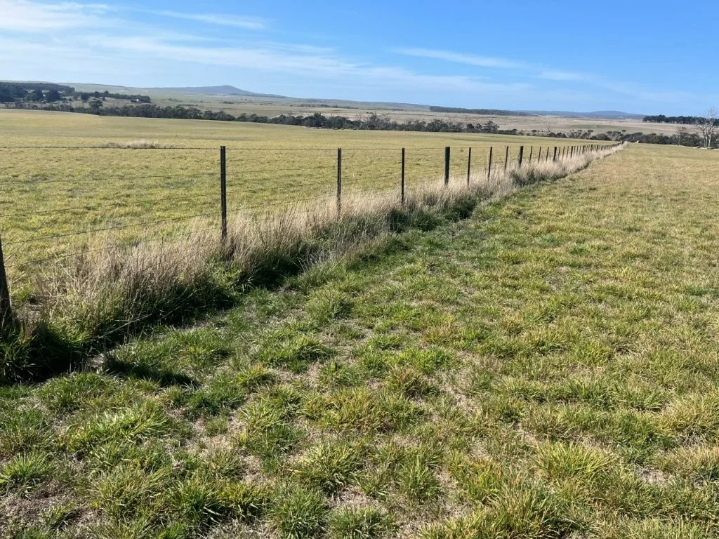 Additional image 14 of 559 North Ansons Road, Gladstone TAS 7264
