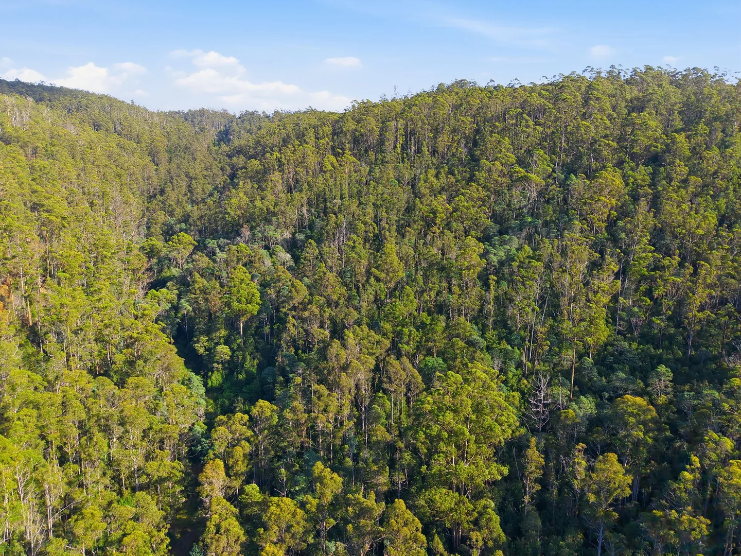 Additional image 7 of 111 Underwoods Road, Nicholls Rivulet TAS 7112