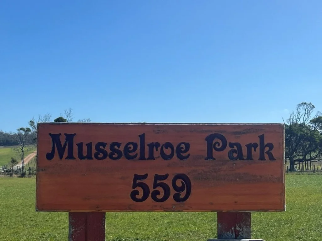 Additional image 5 of 559 North Ansons Road, Gladstone TAS 7264