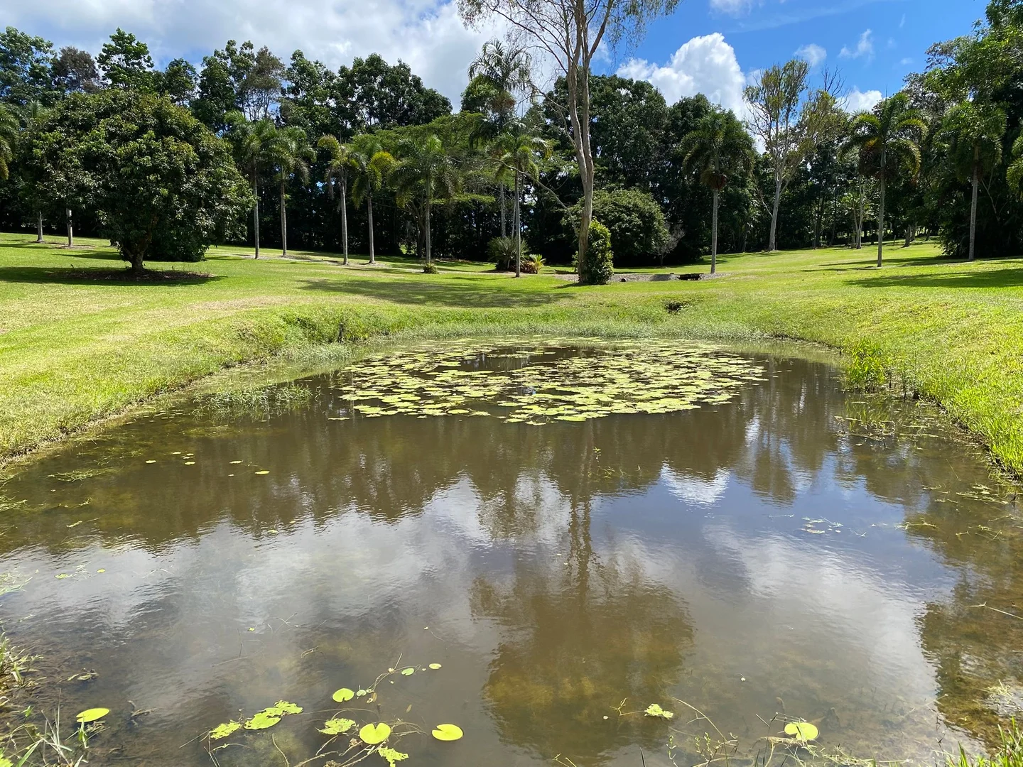 Additional image 10 of 120 Highland Drive, Julatten QLD 4871