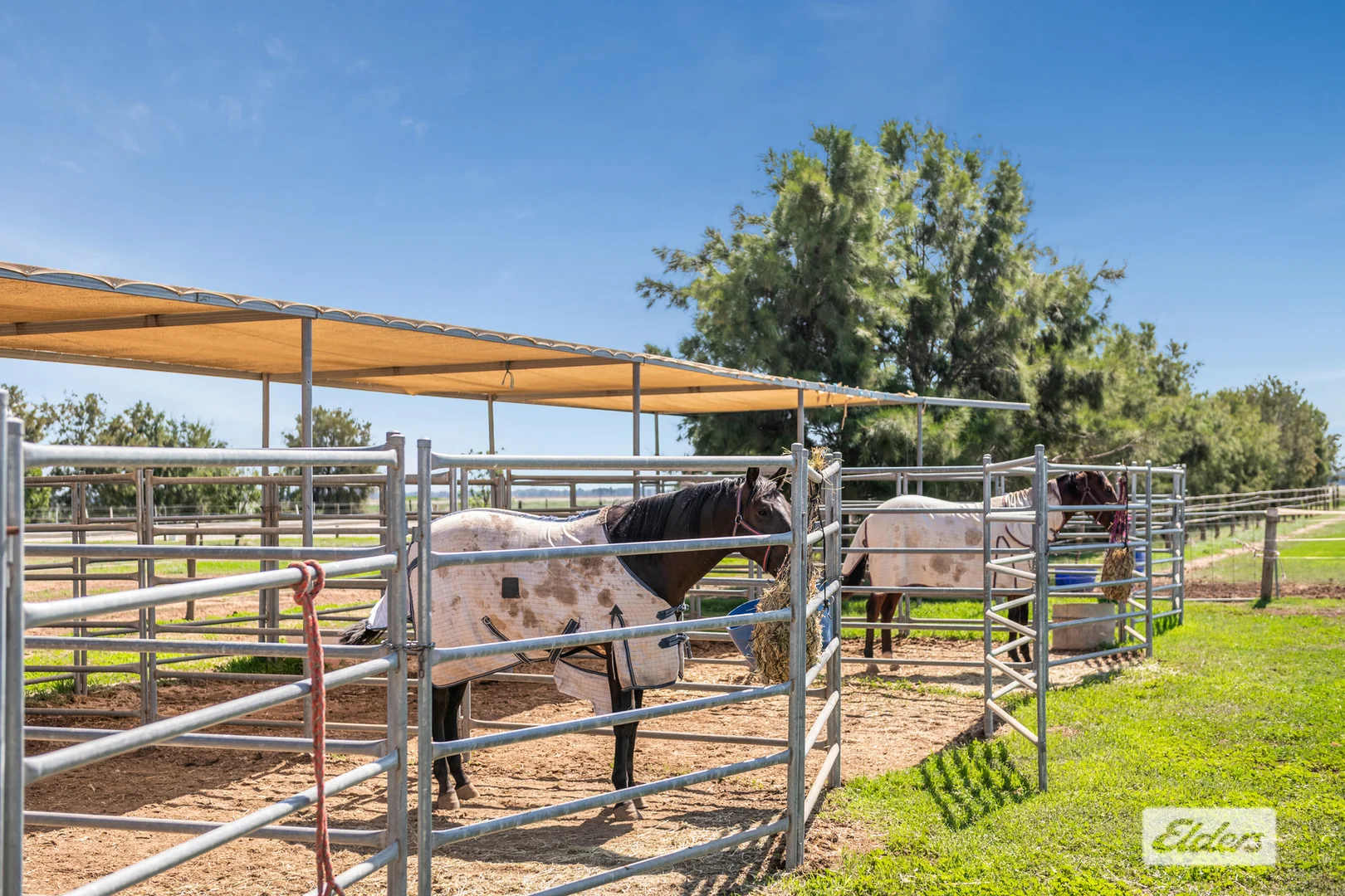 Additional image 12 of 255 Rothackers Road, Serpentine VIC 3517