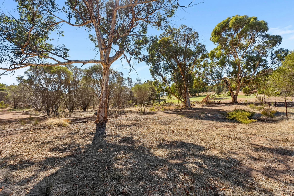 Additional image 5 of 26 Eucalypt Bend, Wundowie WA 6560