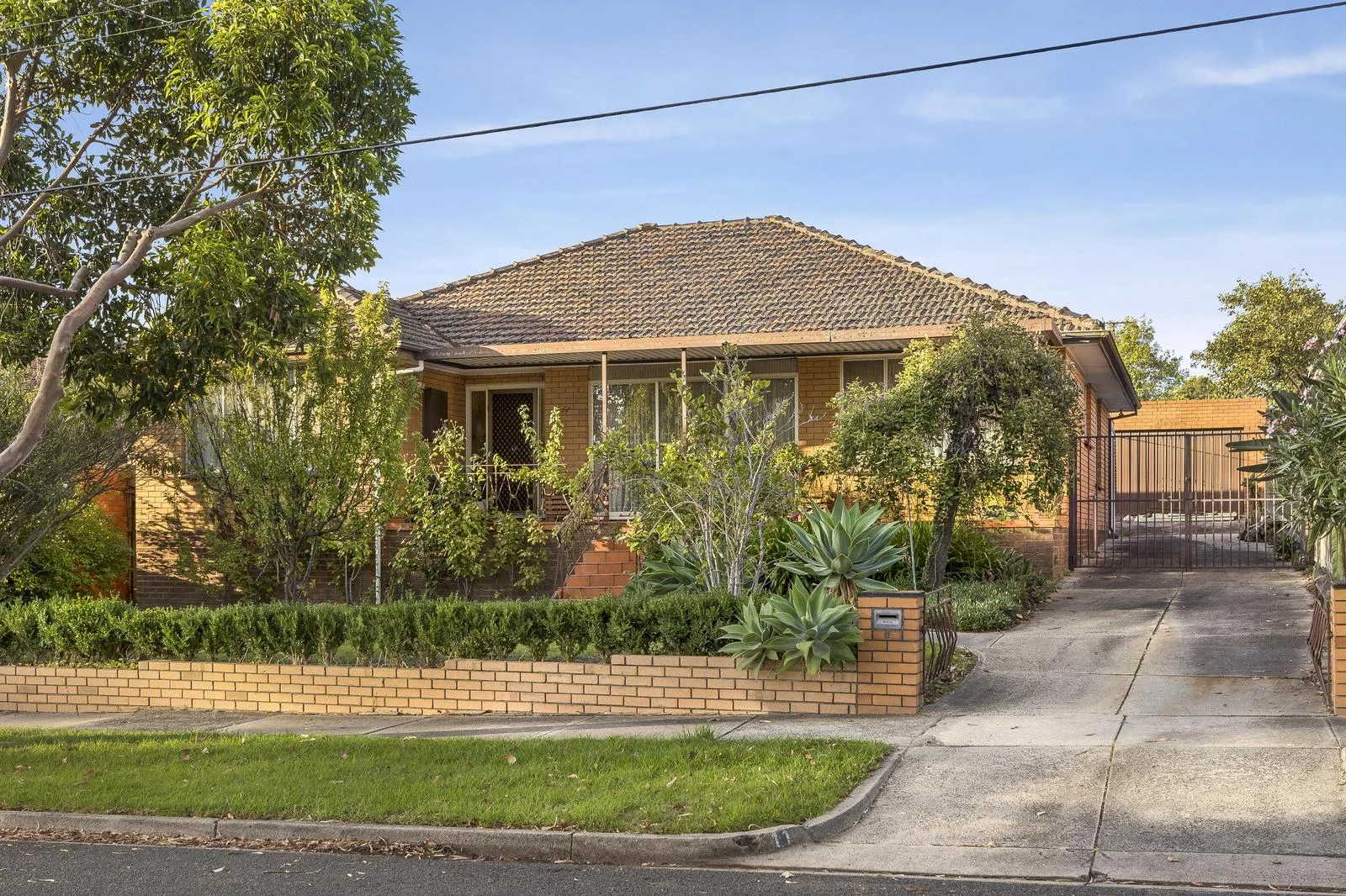 11 Worrall Street, Burwood VIC 3125