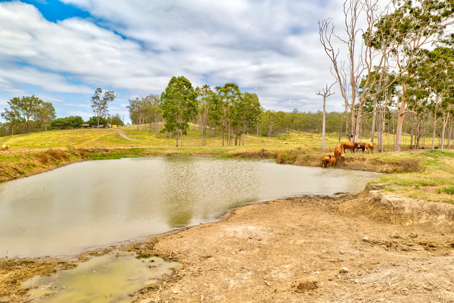 Additional image 22 of 1706 ESK CROWS NEST RD, Biarra QLD 4313