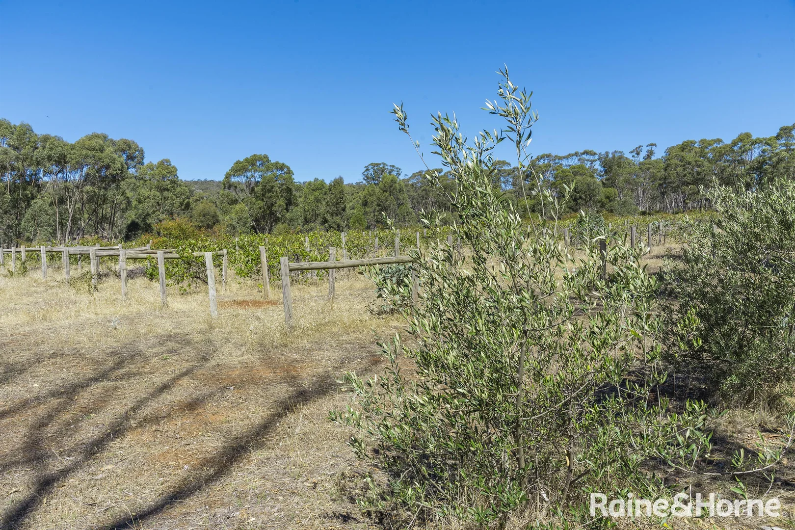 Additional image 28 of 1000 Northern Highway, Ladys Pass VIC 3523