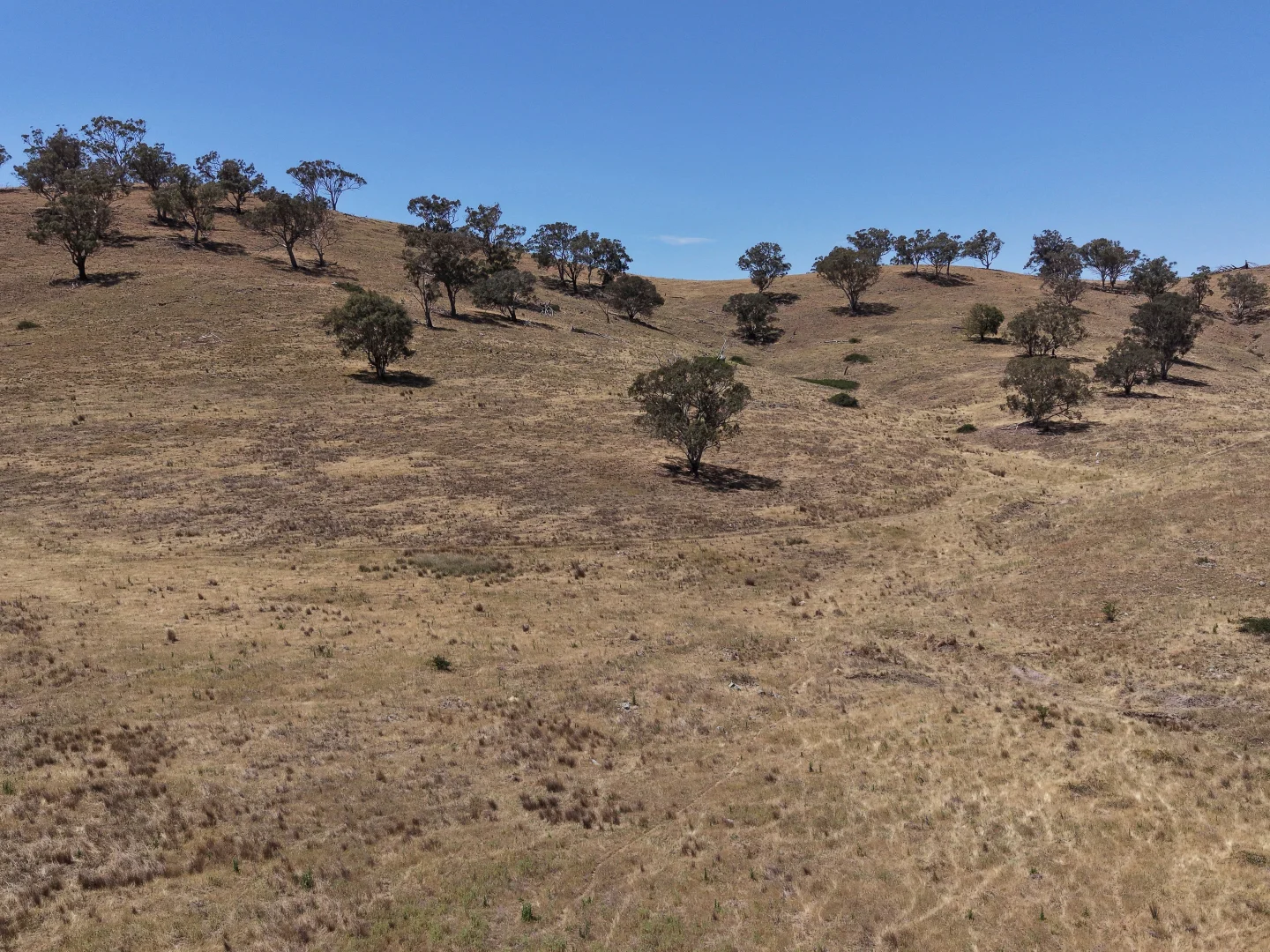 Additional image 26 of Part 2336 Crudine Road, Crudine NSW 2795