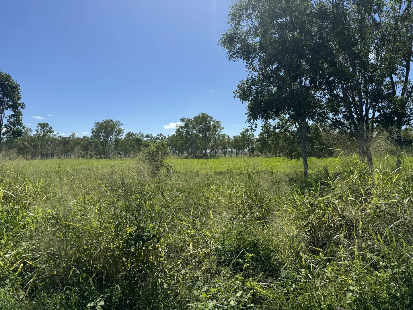 Additional image 10 of 618 Weaver Road, Swans Lagoon QLD 4807